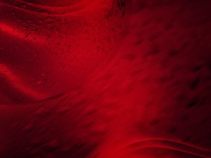 奈曼旗家庭保潔有限責任公司