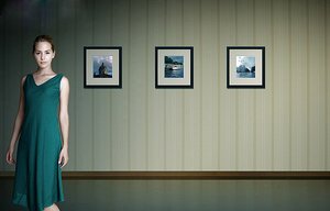 豐鎮市三極管有限責任公司