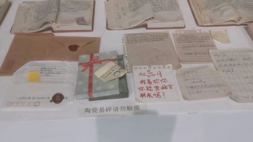 瓷語童年 重慶現(xiàn)代藝術(shù)館的作業(yè)本驚喜與都市心靈對話